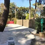Maison A 50 M De La Plage Sous Les Pins