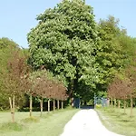 Manoir De La Plane