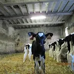 Ferme Les Rouges Terres