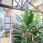 Loft Vegetalise 1,5 Km De La Mer