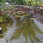 Joly Rivage B&B