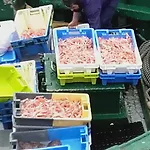 L'Eclose / Men Meur