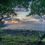 Driftwood Hostel And Bungalows