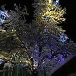 Auberge De Violaine