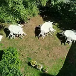 Hotel Le Touraine
