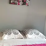 Studio Naturiste 