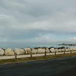 La Salamandre