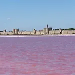Aigues-Mortes Villa Pres Des Remparts