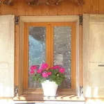 Le Perce Neige