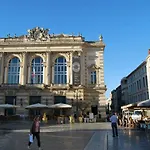 Chambre Montpellier Campanules