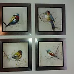 Appartements Des Bambous