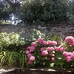 La Grogne