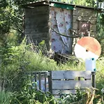 Tipi Lodge Dans La Foret