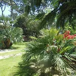 Villa Dom Tom