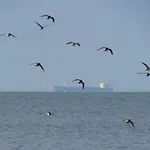 Petit Nid A 50M De La Plage Au Coeur De Fouras