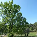 L'Estagnol
