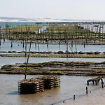 Maison Bassin D'Arcachon - Ares - Proche Plage Et Commerces, 3 Chambres, 8 Personnes, Climatisation