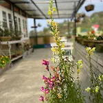 The Homestead B&B