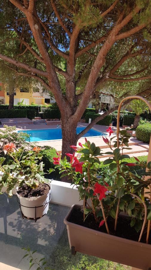 Duplex Cap D Piscine Appartement