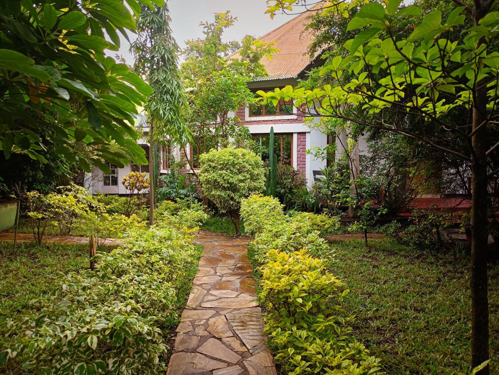 Shamba Hostel *
