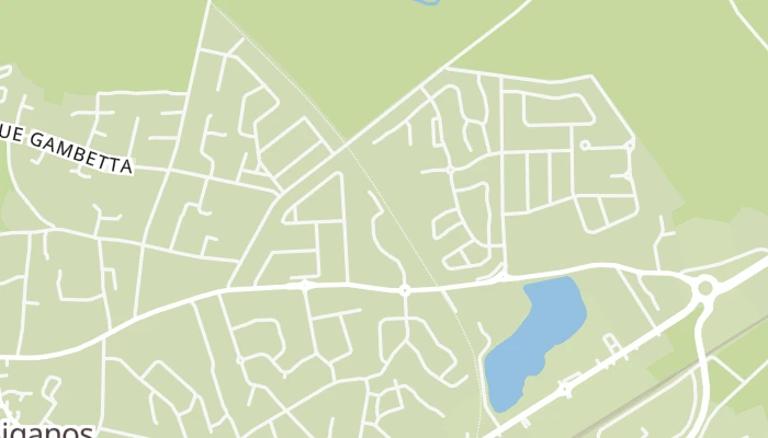 Térkép