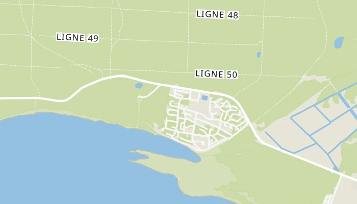 Térkép