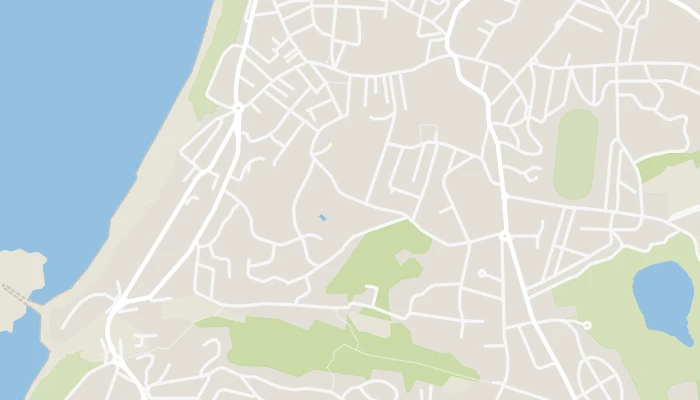 Χάρτης