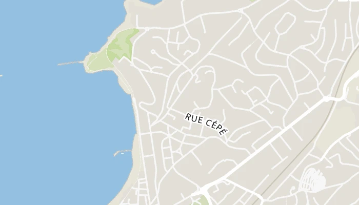 地图