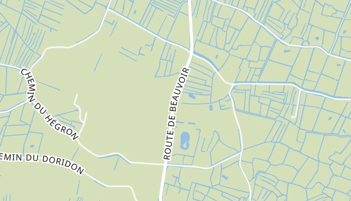 Térkép