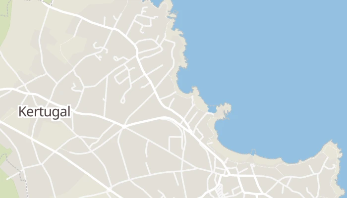 Kort