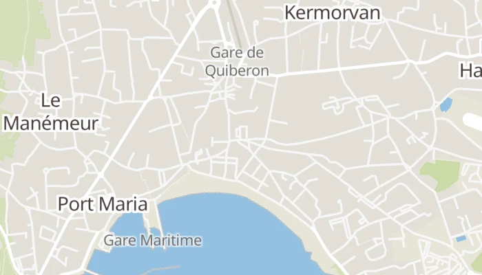 Térkép