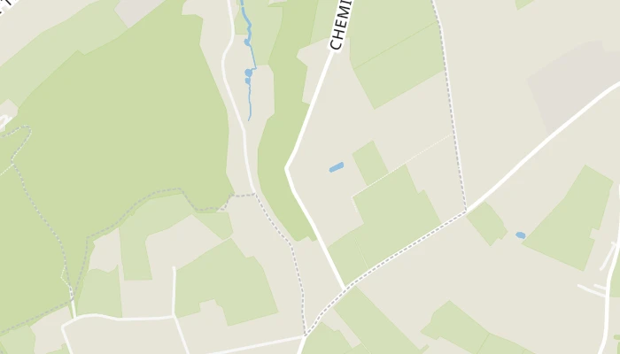 Térkép