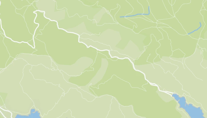 地图